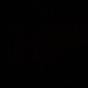 Meet your Posher, Shayna